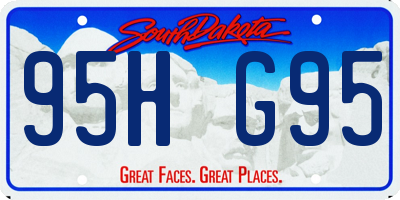 SD license plate 95HG95