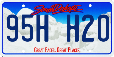 SD license plate 95HH20