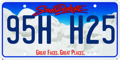 SD license plate 95HH25