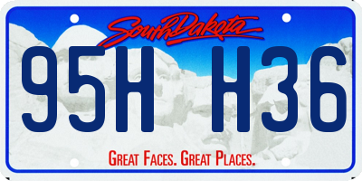 SD license plate 95HH36