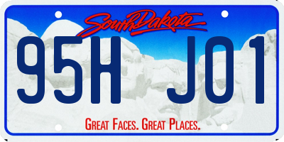 SD license plate 95HJ01