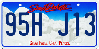 SD license plate 95HJ13
