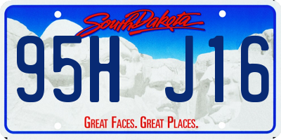 SD license plate 95HJ16