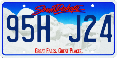 SD license plate 95HJ24