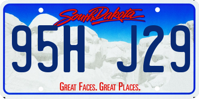 SD license plate 95HJ29