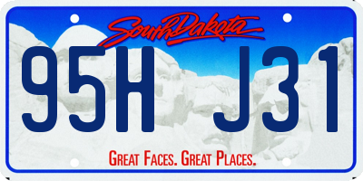 SD license plate 95HJ31