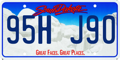 SD license plate 95HJ90