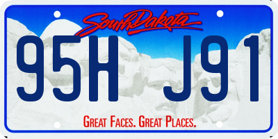 SD license plate 95HJ91