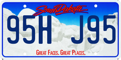 SD license plate 95HJ95