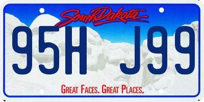 SD license plate 95HJ99
