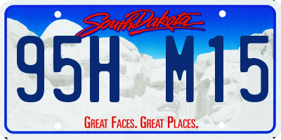 SD license plate 95HM15