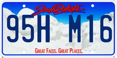 SD license plate 95HM16