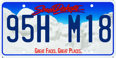 SD license plate 95HM18