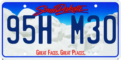 SD license plate 95HM30