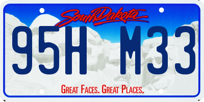 SD license plate 95HM33