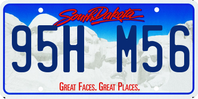 SD license plate 95HM56