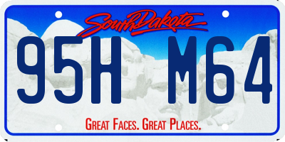 SD license plate 95HM64