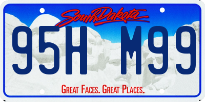 SD license plate 95HM99