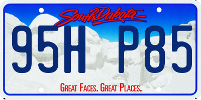 SD license plate 95HP85