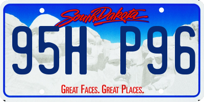 SD license plate 95HP96