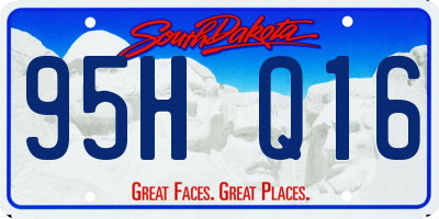 SD license plate 95HQ16