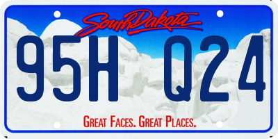 SD license plate 95HQ24