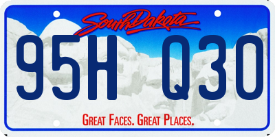 SD license plate 95HQ30