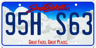 SD license plate 95HS63