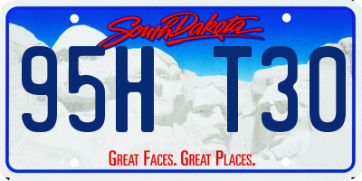 SD license plate 95HT30