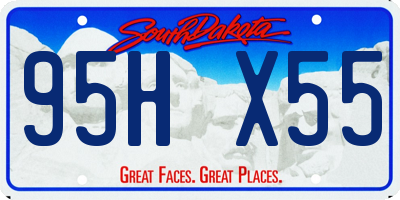 SD license plate 95HX55