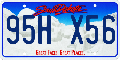 SD license plate 95HX56
