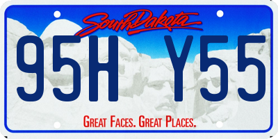 SD license plate 95HY55