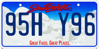 SD license plate 95HY96