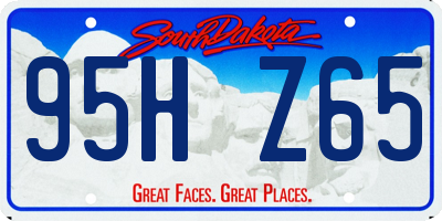 SD license plate 95HZ65