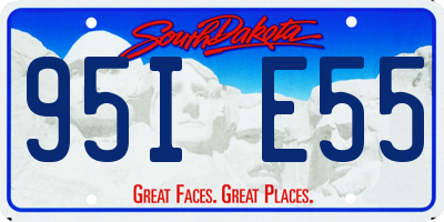 SD license plate 95IE55