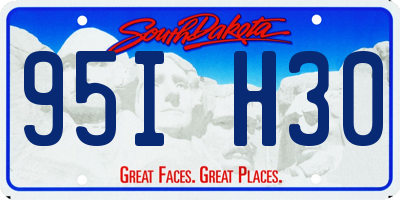 SD license plate 95IH30