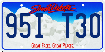 SD license plate 95IT30