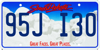 SD license plate 95JI30