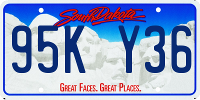 SD license plate 95KY36