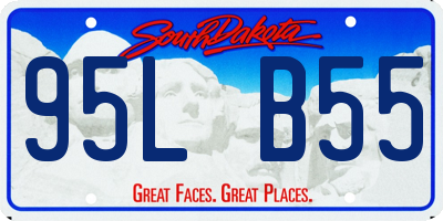 SD license plate 95LB55