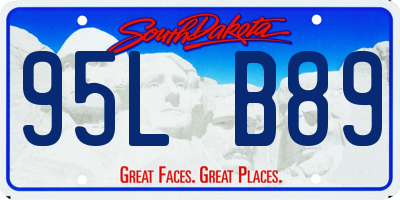 SD license plate 95LB89
