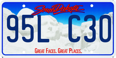 SD license plate 95LC30