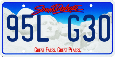 SD license plate 95LG30