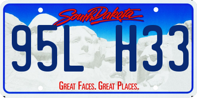 SD license plate 95LH33