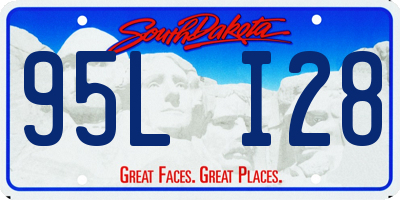 SD license plate 95LI28