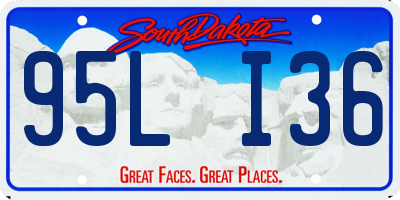 SD license plate 95LI36