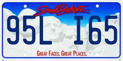 SD license plate 95LI65