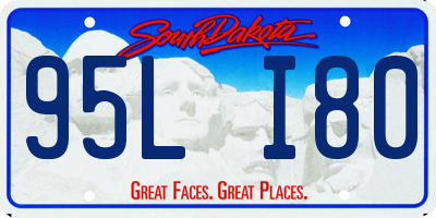 SD license plate 95LI80