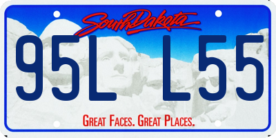 SD license plate 95LL55
