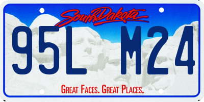 SD license plate 95LM24